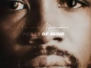 Wandile Mbambeni - Peace of Mind